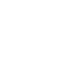 Optik Schwalb - Logo